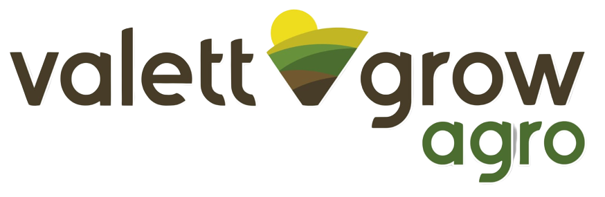 Logo da Valett Grow